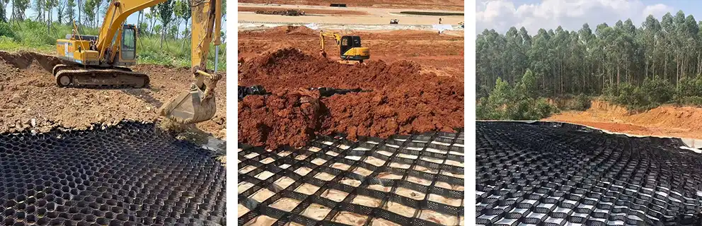 Tree Root Protection