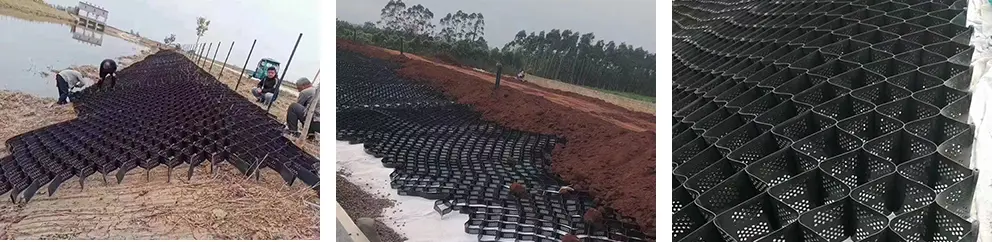 Tree Root Protection