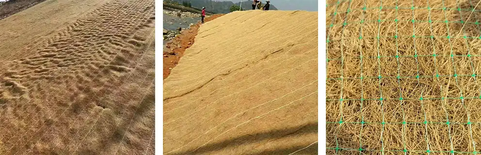 Coir Erosion Control Blanket