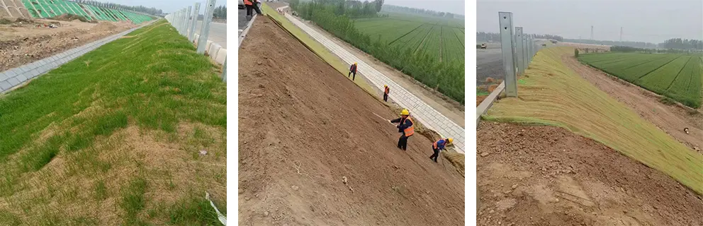 Coir Erosion Control Blanket