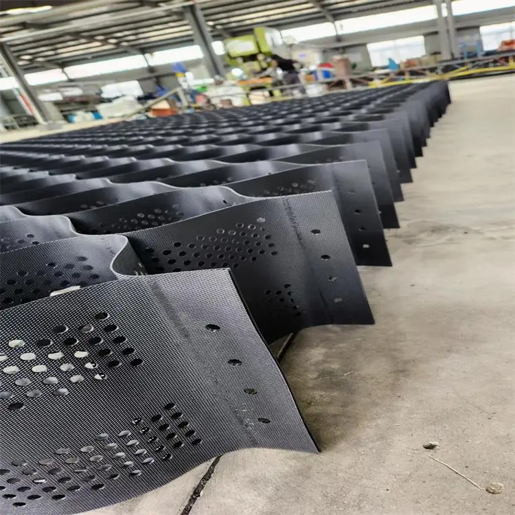 Tree Root Protection (5).jpg