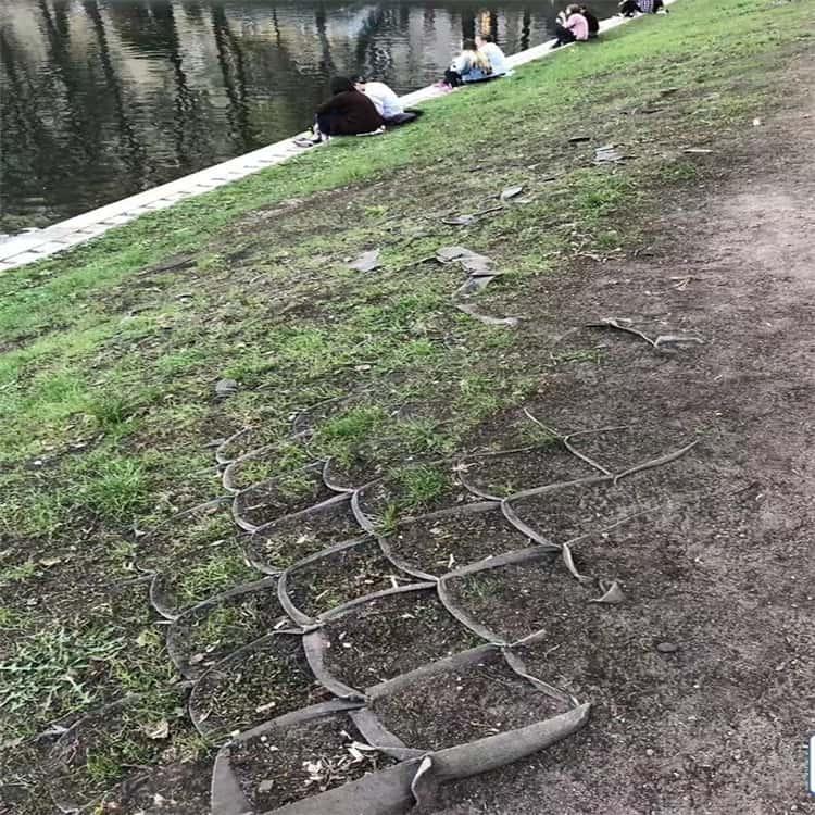 Geocell Erosion Control