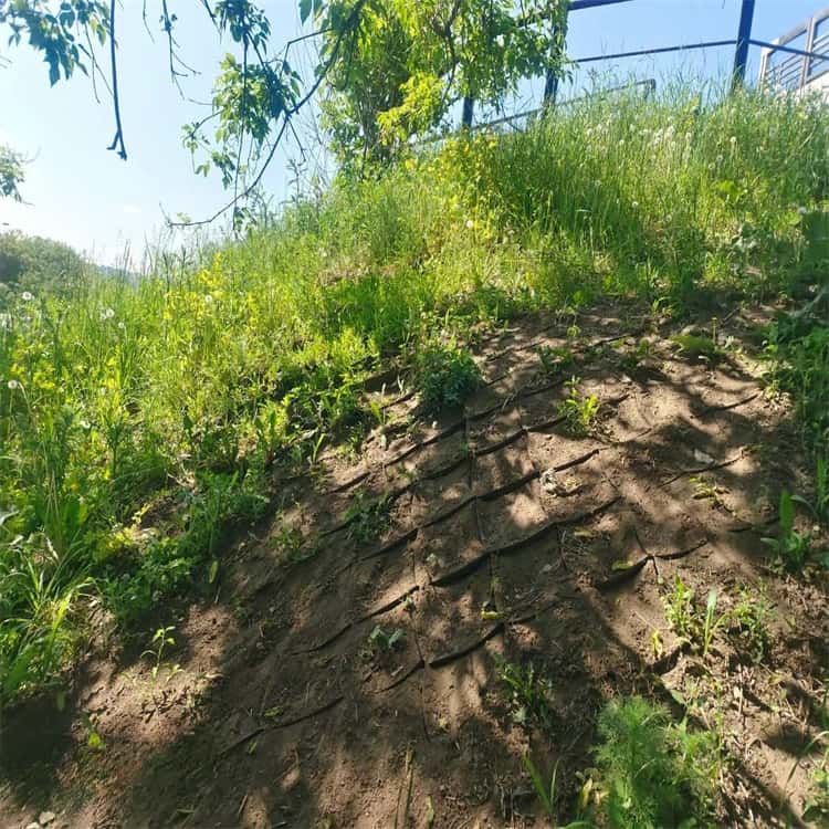 Geocell Erosion Control