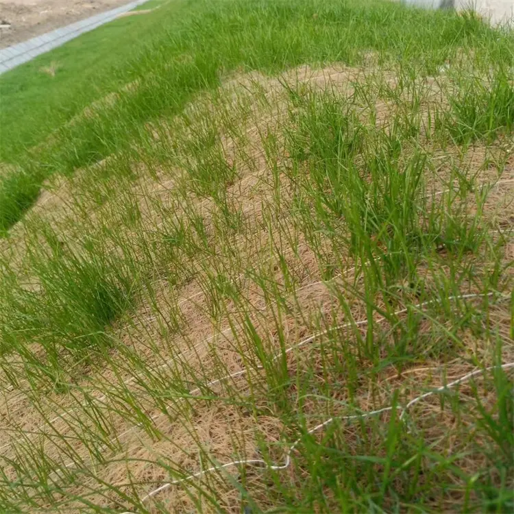 Coconut Fiber Blanket