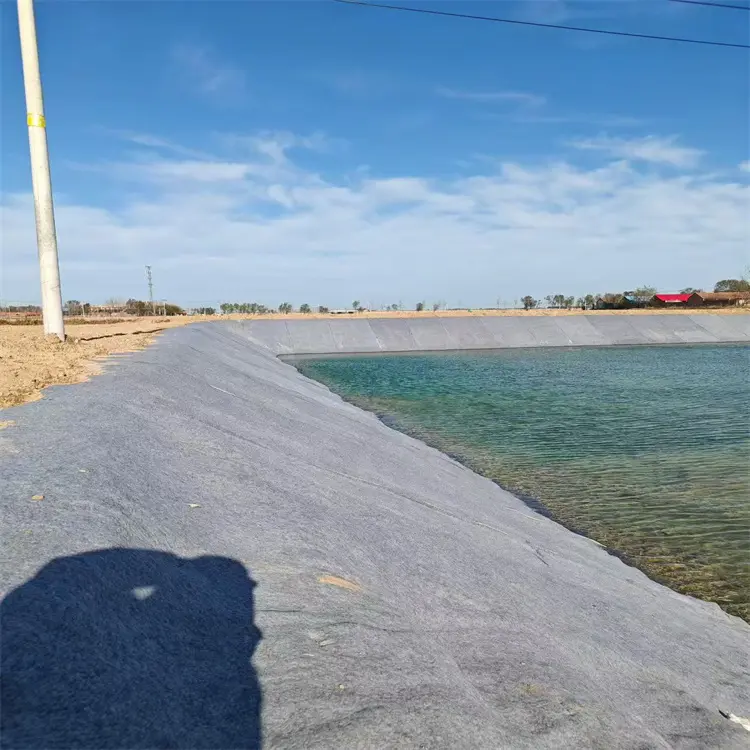 Cement Blanket Used In Pool