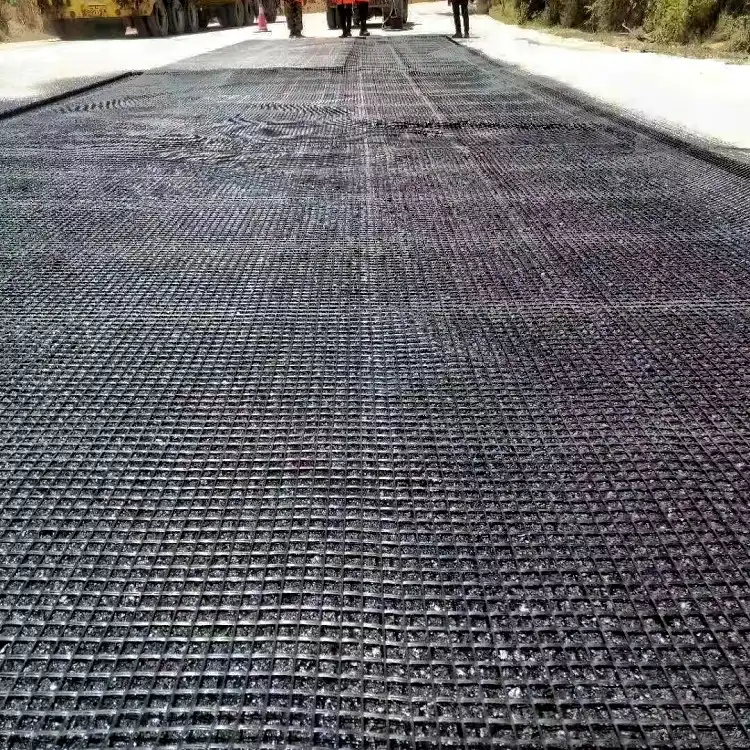 Geogrid For Road