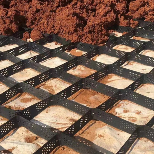 Tree Root Protection