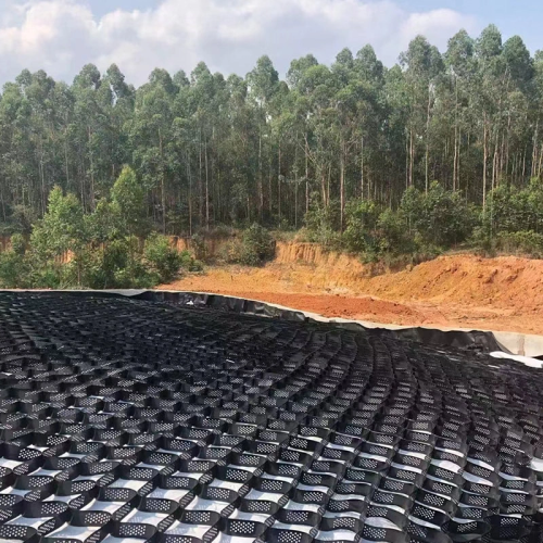 Tree Root Protection